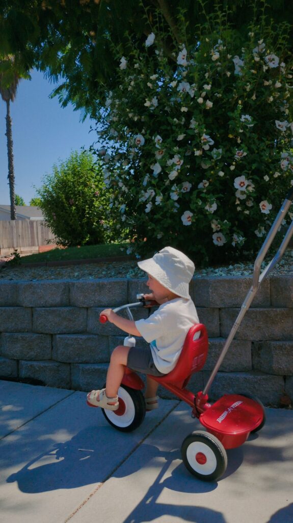 toddler on a bike
