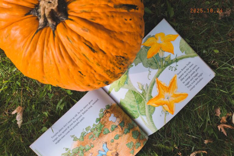 5 Fall Books That Will Make Your Next Story Time Magical