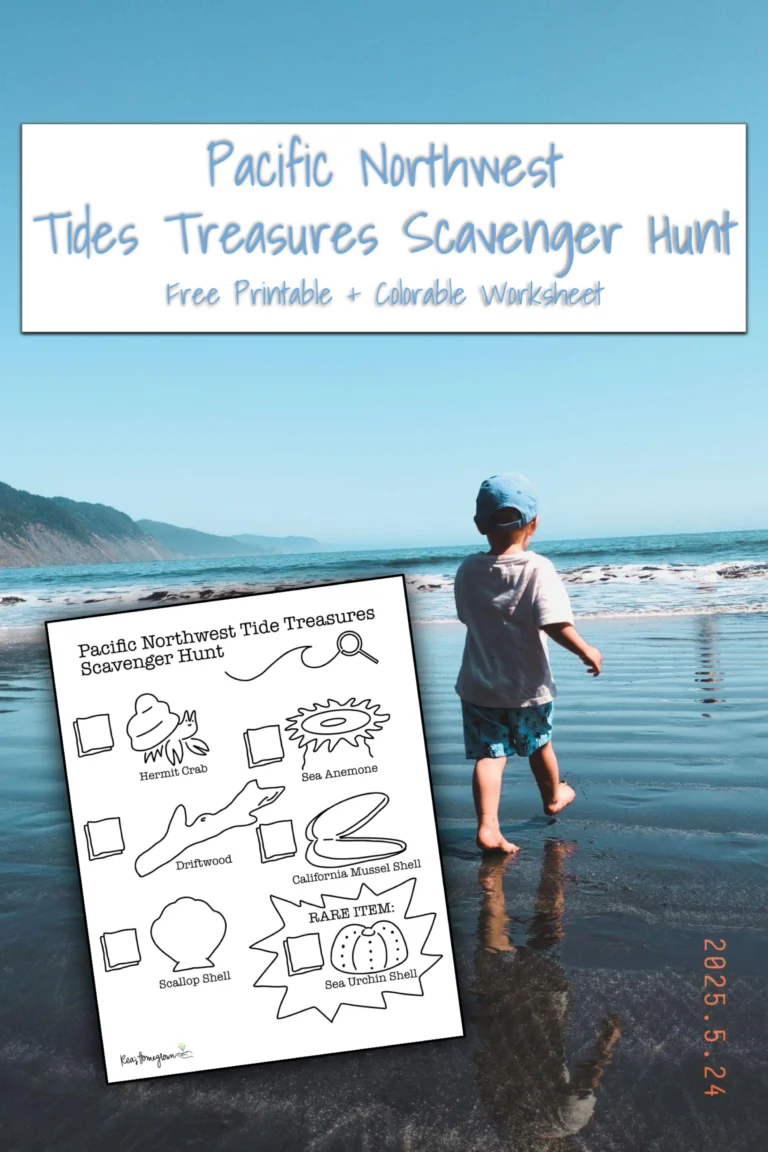 Tidepool Adventures with Kids: What to Bring, What to Find, and What to Learn