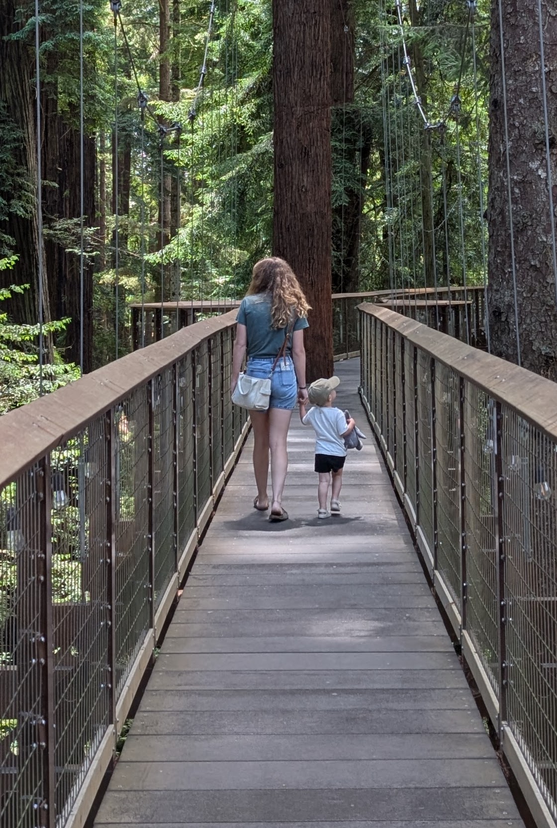 Mom and boy holding hands walking through trees