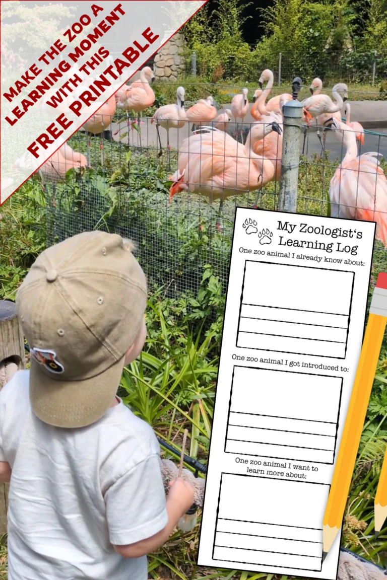 Zoo Adventures with Kids: What to Bring, What to Find, and What to Learn