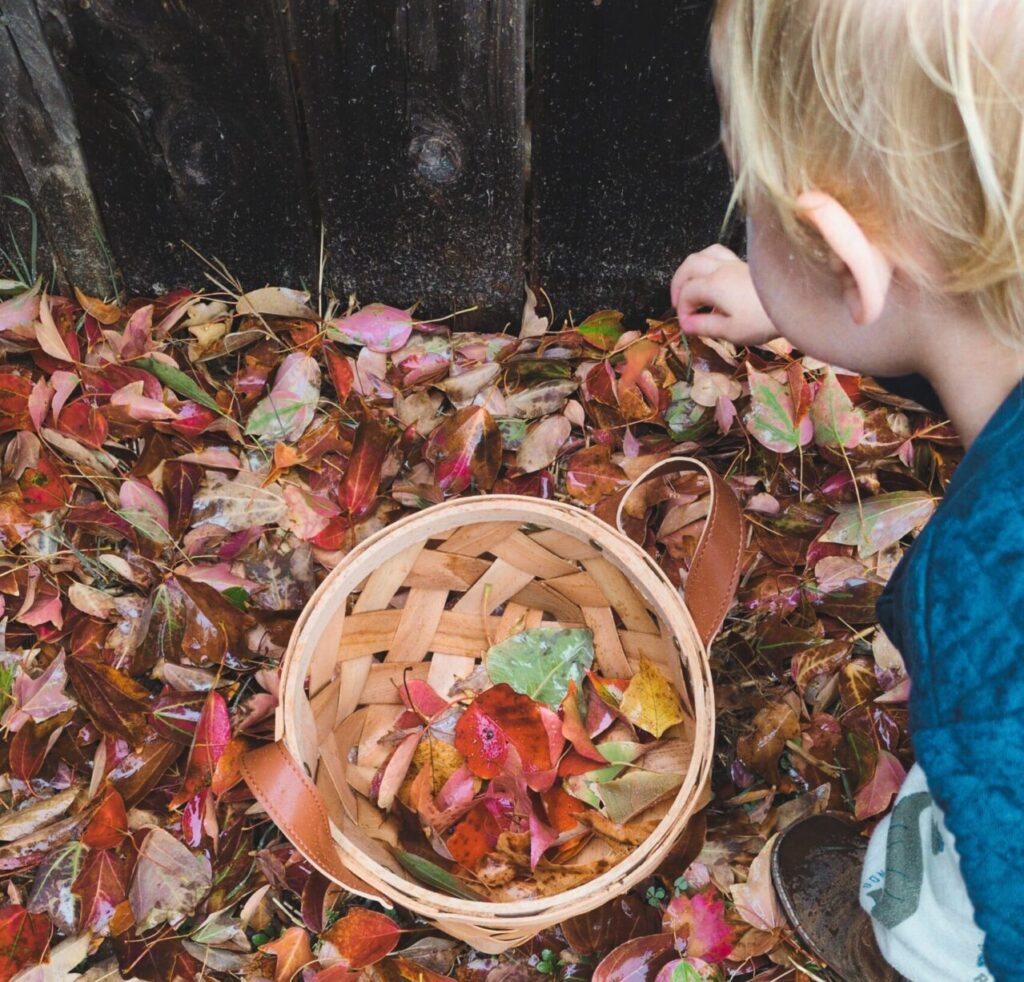 toddler collecting leaves for a turkey craft