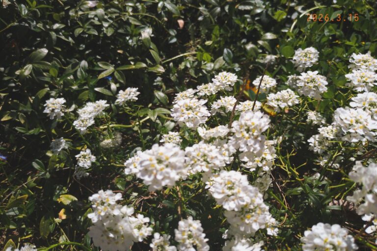 4 Easy Spring Learning Activities Your Toddler Will Love