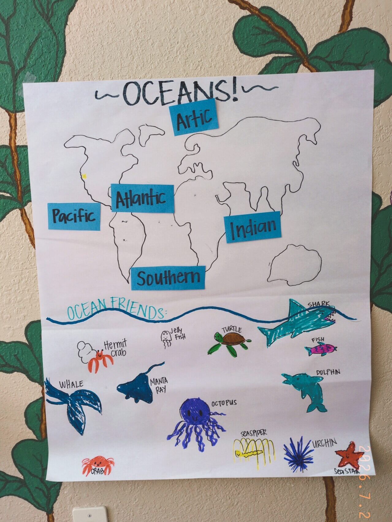 world map with oceans labeled pictorial