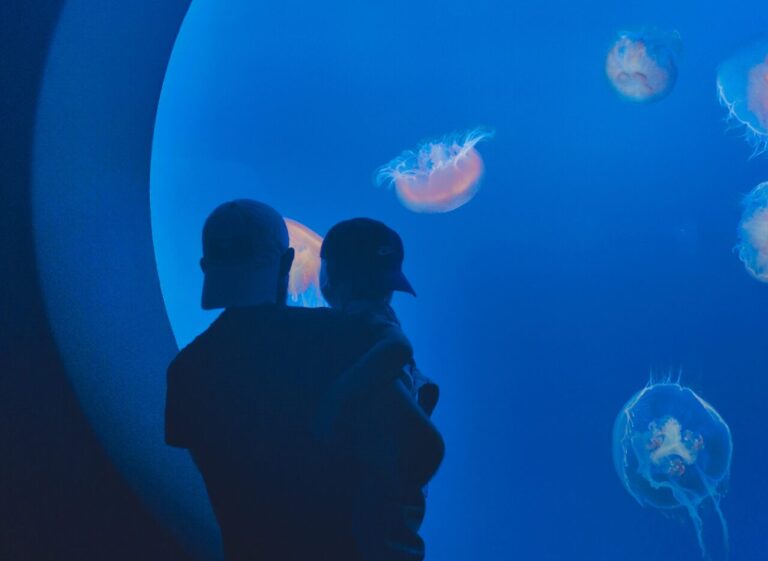 5 Preschool Ocean Activities to Prep for the Aquarium